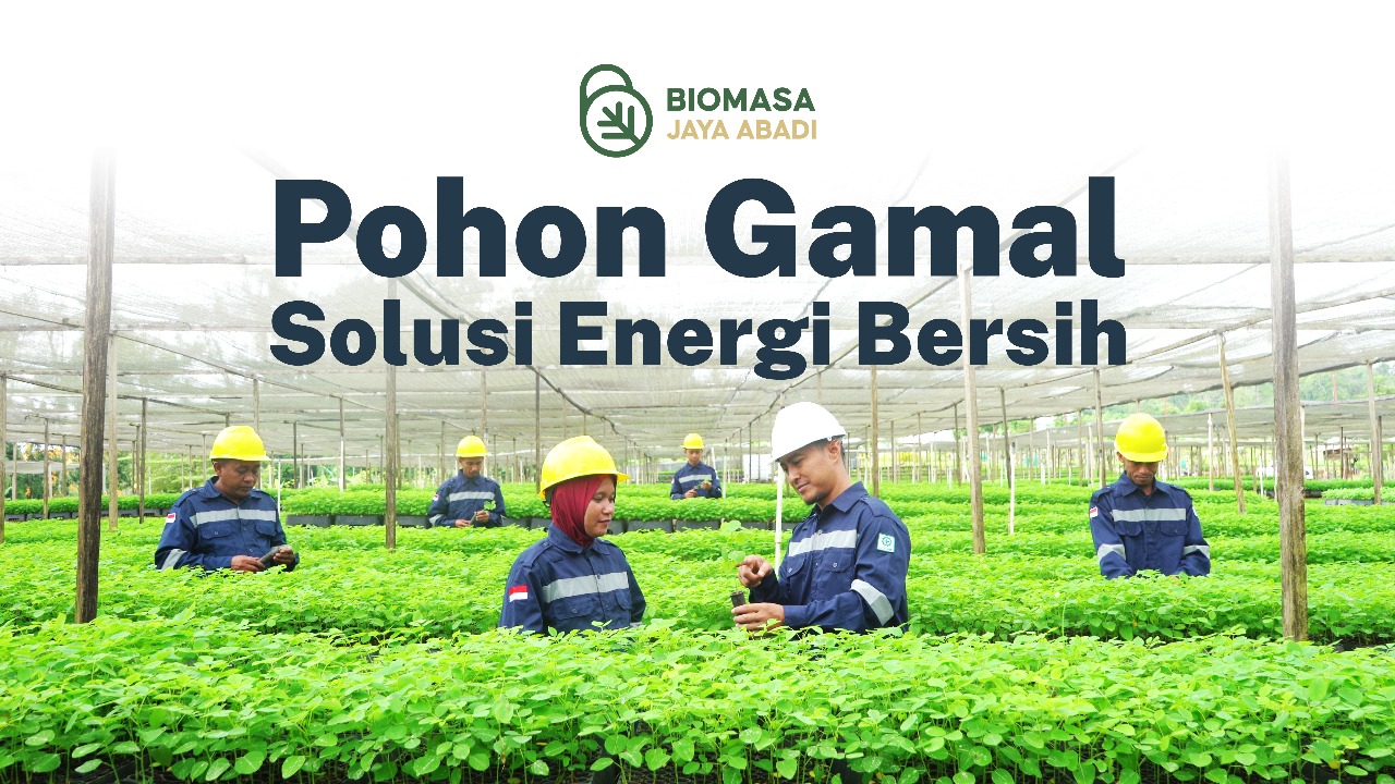 Gamal BJA Wood Pellet – from Gorontalo for Greener Future: Energi Hijau & Lebih Ramah Lingkungan